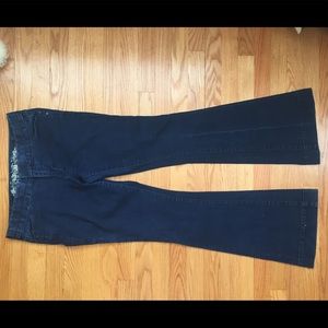 Express fit and flare jeans